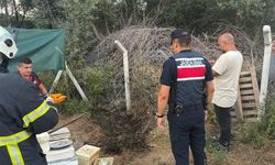 Bilecik'te ot ve çalılık yangını büyümeden söndürüldü