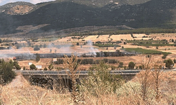 Burdur'da 20 dönümlük otluk alanda yangın