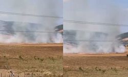 Bursa'da tarlalık alanı ateşe veren şüpheli yakalandı