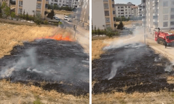 Elazığ'da otluk alanda çıkan yangın söndürüldü