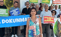 Eskişehir Ekoloji Derneği: "Alpu Ovası'ndaki ÇED süreci usulsüz yürütülüyor"
