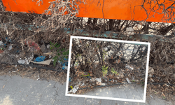 Eskişehir’de tramvay güzergâhında dikkat çeken görüntü