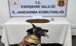 Eskişehir’de yasaklı madde operasyonu: 361 gram bonzai ele geçirildi, 1 tutuklama