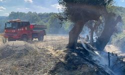 Kastamonu’da çıkan örtü yangını söndürüldü
