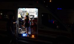 Malatya'da boğulma tehlikesi geçiren 6 kişi hastaneye kaldırıldı