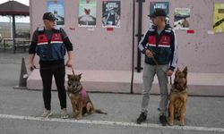 Niğde’de bir haftada 10 tutuklama