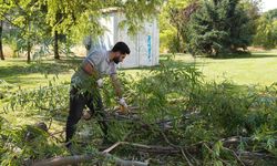 Tepebaşı’nda yeşil alanlar korunuyor