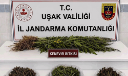 Uşak’ta kaçakçılık operasyonu