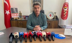 Veterinerlerden kritik uyarı: Sıcak hava hayvanlar için ölümcül olabilir!