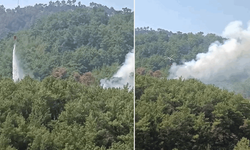 Adana'da soğutma çalışmalarının sürdüğü ormanlık alanda yeniden yangın çıktı