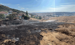 Bilecik'te otluk yangını
