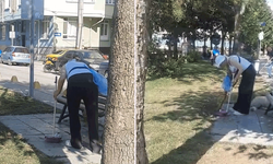 Eskişehir’de gönüllülerden çöp tepkisi: “Parklarımızı kirletmeyelim”