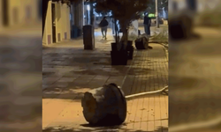 Eskişehir'de pes dedirten vandallık: Saksıları devirip yoluna devam etti