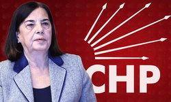 Jale Nur Süllü: Pişman olan, CHP’ye dönmek isteyen üyeler var!”
