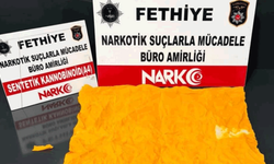 Muğla’da uyuşturucu operasyonları: 310 gözaltı, 48 tutuklama