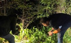 Odunpazarı'nda tarım arazisinde mühimmat bulundu