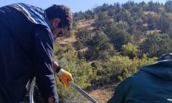 Sinop’ta kaçak avcılığa karşı kararlı mücadele