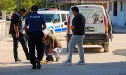 Sinop'ta sokak köpeği silahla vurularak öldürüldü