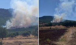 Sivrihisar'da ormanlık alanda çıkan yangın kontrol altına alınmaya çalışılıyor