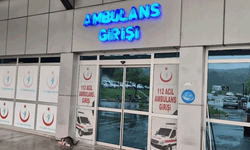 Zonguldak ağaçtan düşen adam, merdiveni tutan kişiyi de yaraladı