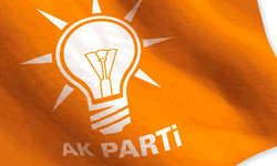 AK Parti il başkan yardımcısı görevinden affını istedi
