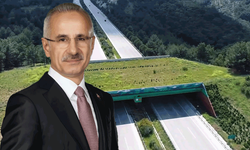 Ankara-Eskişehir YHT hattına bir ekolojik köprü daha geliyor