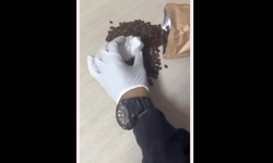 Bilecik'te kahve paketlerinin içinden kokain çıktı, 3 kişi gözaltına alındı