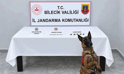 Bilecik'te narkotik köpeği uyuşturucuyu kokusundan buldu