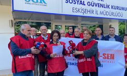DİSK Emekli Sen Eskişehir Şubesi: “Emeğimizi de onurumuzu da çaldırmayacağız!”