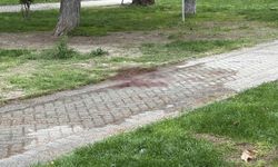 Eskişehir'de arkadaşlar arasındaki kavga ölümle bitti