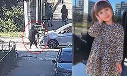 Eskişehir'de Elif Mavi'nin hayatını kaybettiği kazada 15 yıla kadar hapis talebi