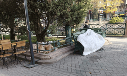 Eskişehir’de Köprübaşı’nda yorganına sarılıp bankta uyudu!