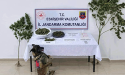 Eskişehir'de uyuşturucu operasyonu: 1 tutuklama