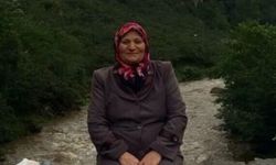 Giresun’da bahçede düşen kişi hayatını kaybetti