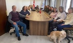 Kent Konseyi’nden hayvan hakları çağrısı: Eskişehir’in Örnek yaklaşımı Türkiye'ye yayılmalı