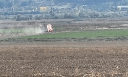 Kütahya Tavşanlı'da arazi yangını