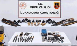 Ordu'da silah kaçakçılığı operasyonunda 2 gözaltı