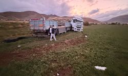 Van'da tır şarampole yuvarlandı: 2 yaralı