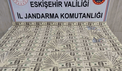 Piyasaya sürülmeden yakalandı: Eskişehir'de 1 milyon TL'lik sahte dolar