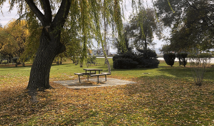 Sonbahar Eskişehir’i sardı, sokaklar fotoğraflık görüntülere büründü