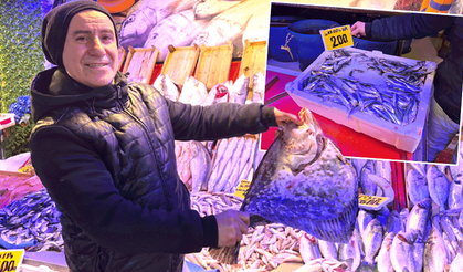 Balık tezgahlarında son durum ne? İşte Eskişehir’de balık fiyatları