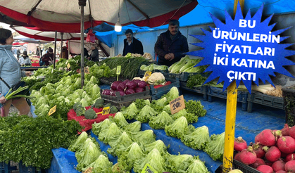 Eskişehir'de dondurucu soğuklar ve sel pazarda etiketleri vurdu