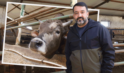 Kurbanlık alacaklar dikkat: Eskişehir’de “son güne bırakmayın” uyarısı