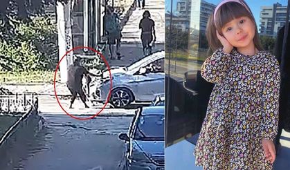 Eskişehir'de Elif Mavi'nin hayatını kaybettiği kazada 15 yıla kadar hapis talebi