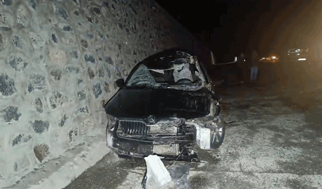 Bingöl’de otomobil başıboş ata çarptı: 1 ölü 5 yaralı