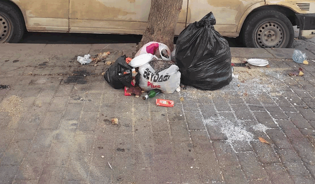 Eskişehir’de cadde üzerine bırakılan çöpler etrafa saçıldı