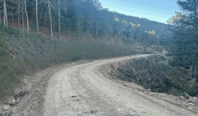 Kütahya'da orman yangınlarını önlemek için yol kenarı temizliği yapıldı