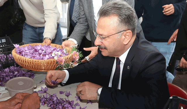 Dünyanın en pahalı baharatı Eskişehir'de hasat edildi