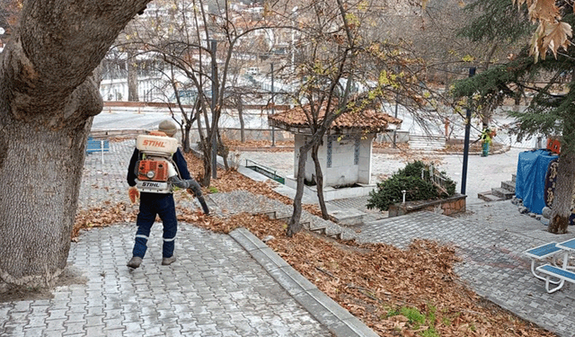 Kütahya'da belediye ekiplerinden sonbahar temizliği çalışması