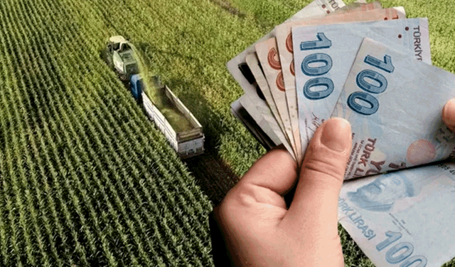 Eskişehir'de 25 bin çiftçiye destek ödemesi müjdesi